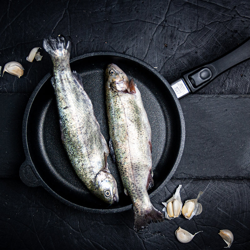 AMT Induction Frying Pan